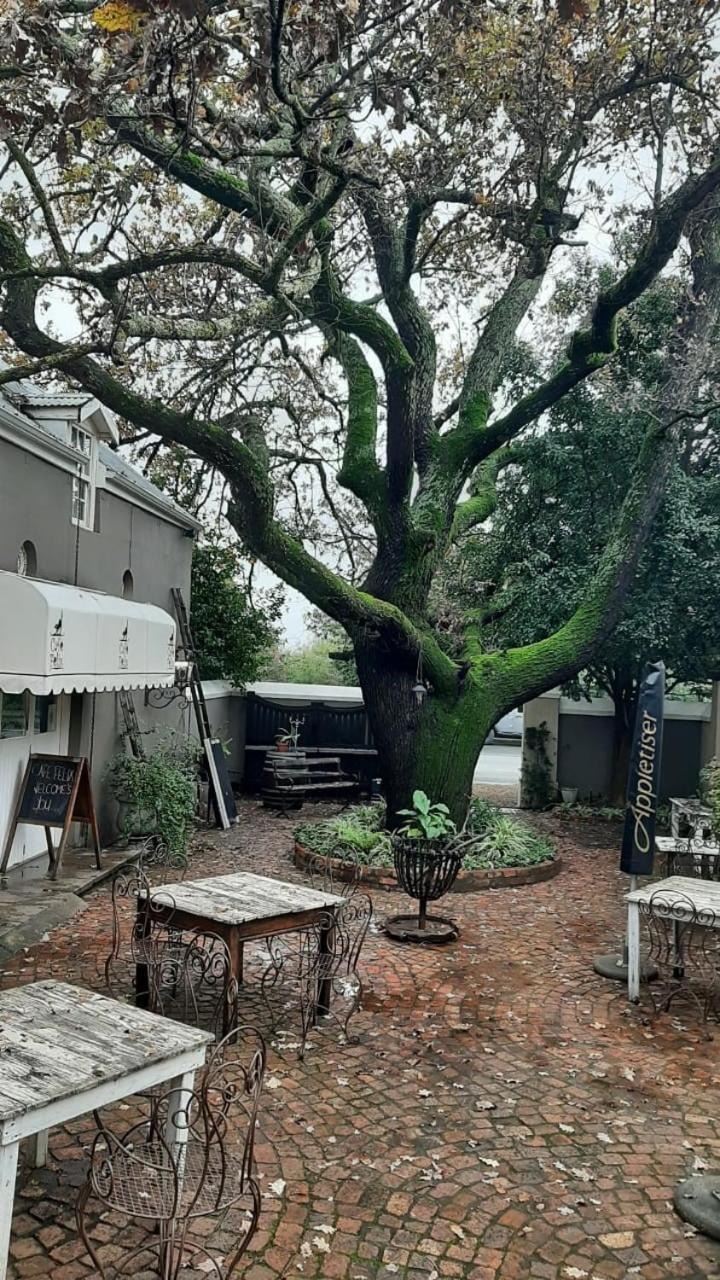 里比克堡 Cafe Felix & Old Oak Manor酒店 外观 照片